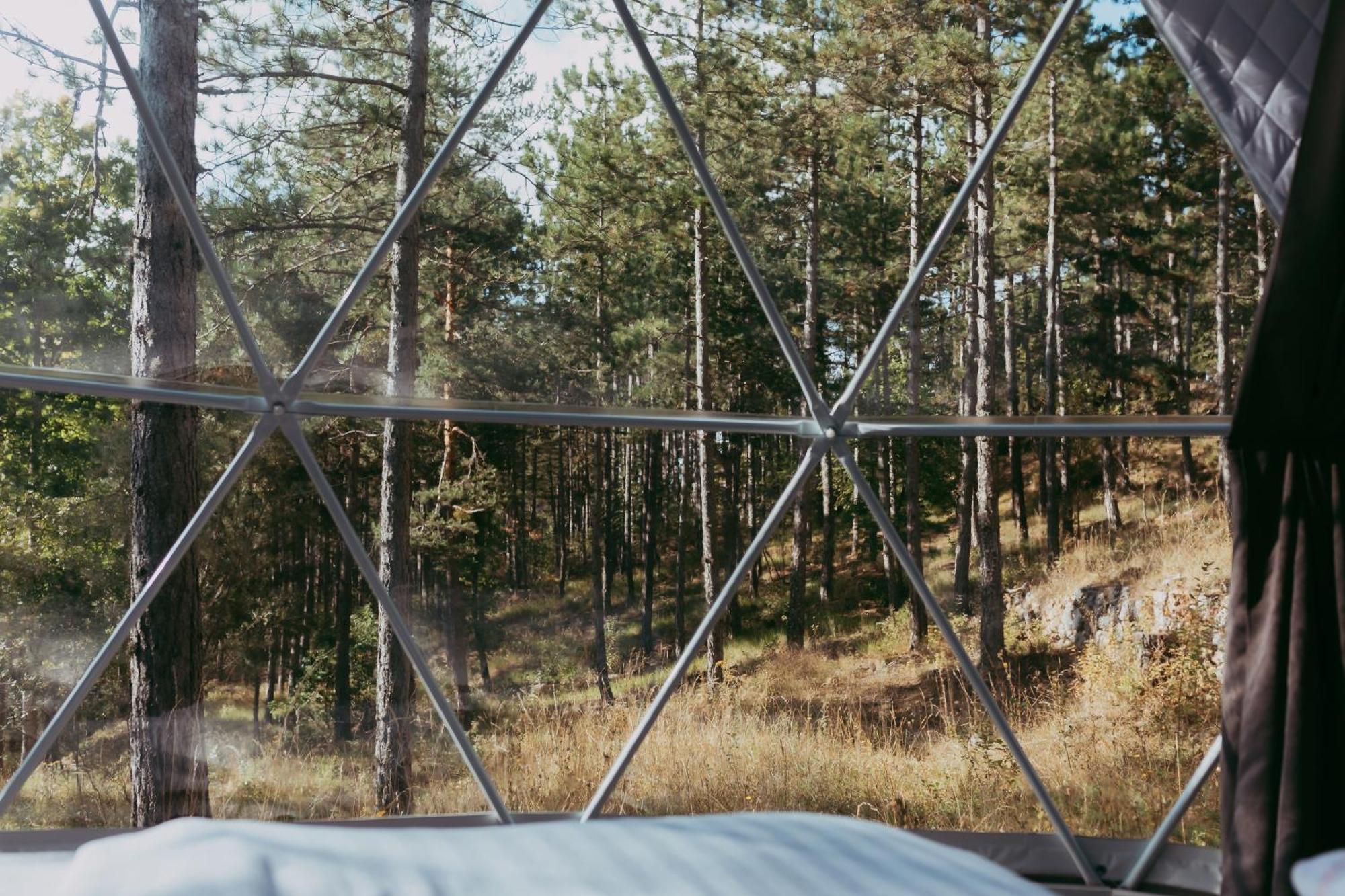 Glamping Dome