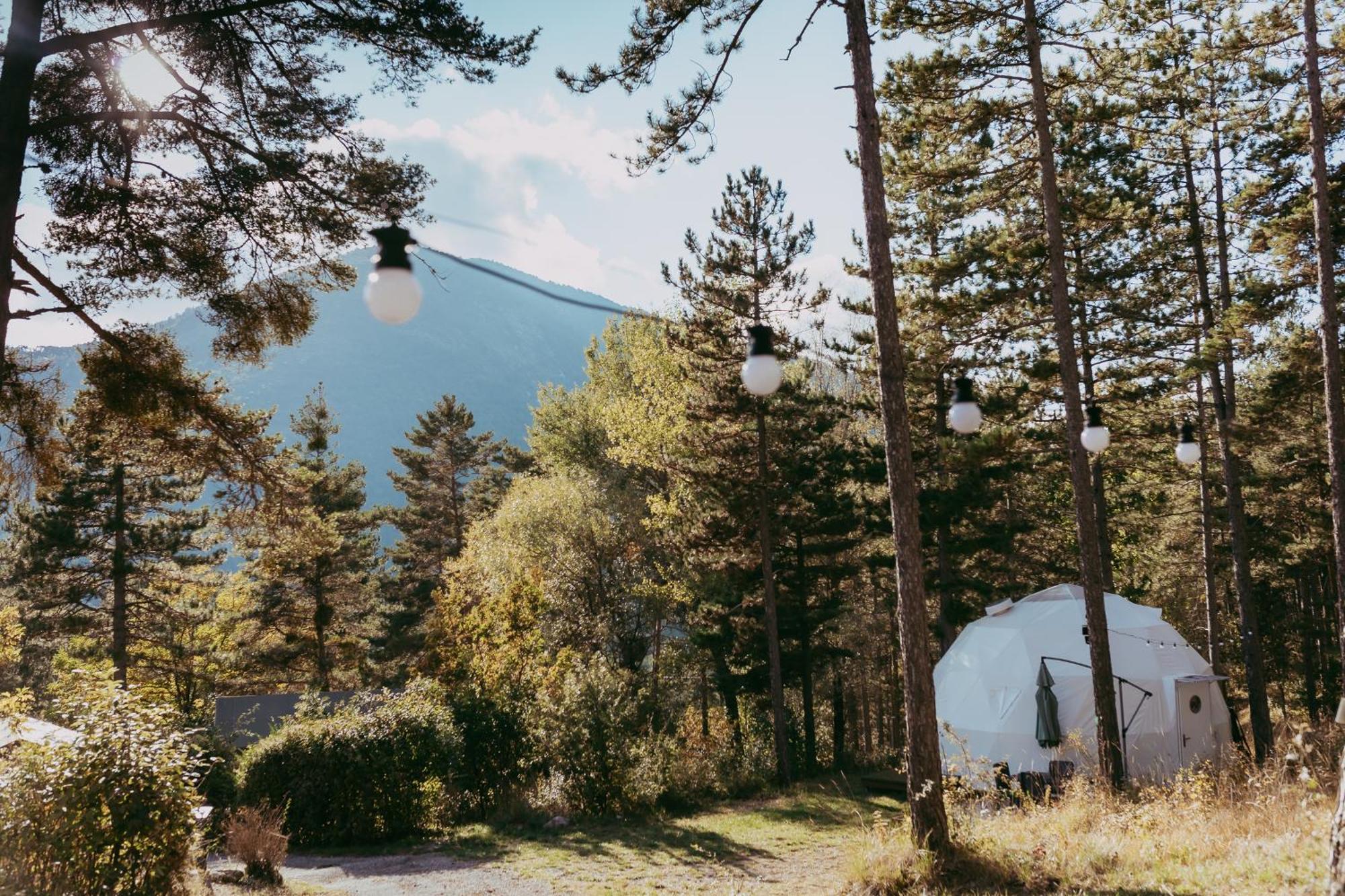 Glamping Dome